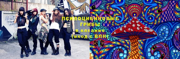 мдпв Беломорск